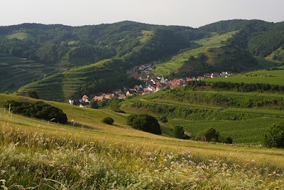 Photos of Kaiserst&uuml;hler Tourist information e.V.
