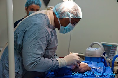 Photos of Brookhaven Cat Hospital