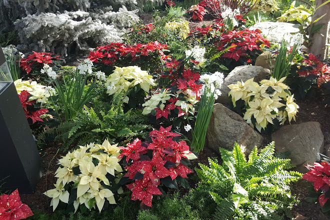 Visit Foellinger Freimann Botanical Conservatory On Your Trip To