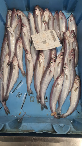 Peixateria Montse Gallery - Spain