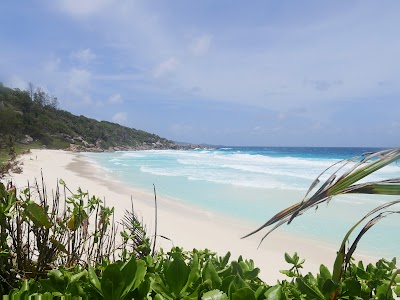 photo of Petite Anse beach