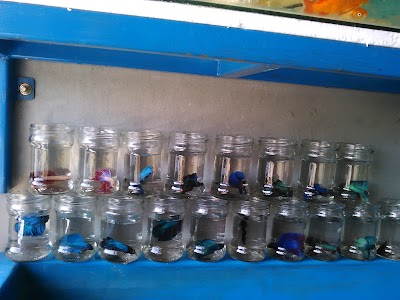 Photos of Anugerah Aquarium