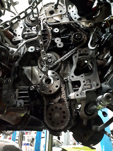 Officina Danilo - Visual