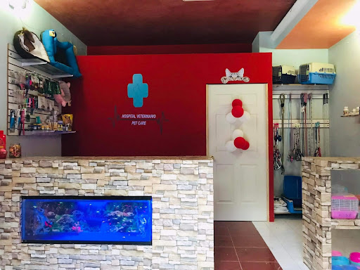 Hospital veterinario pet care