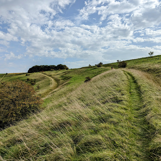 Pewsey White Horse - Thumbnail