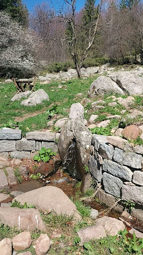 Vitosha mountain, 1616 София