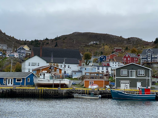 Petty Harbour Mini Aquarium