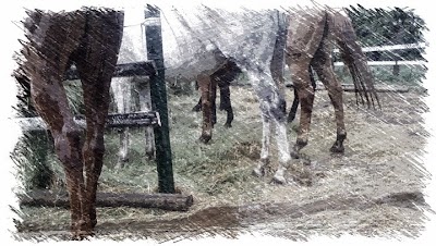 Photos of Cathedral Horse Riding