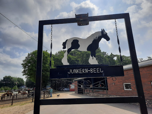 Reiterhof Junkern-Beel - Thumbnail