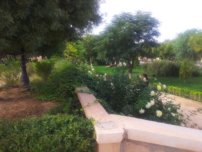 Photos of المتحف البلدي