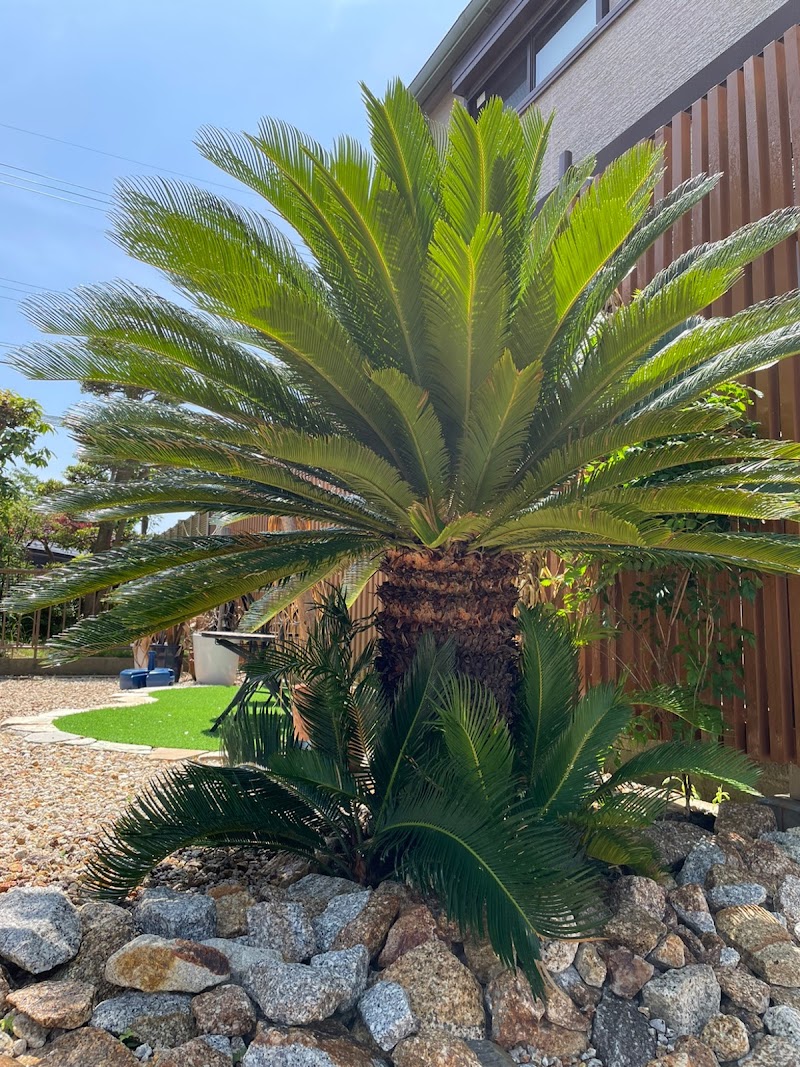 YP salon 美頭骨デザイン施術サロン