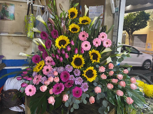 Distribuidora De Flores Villegas - Thumbnail
