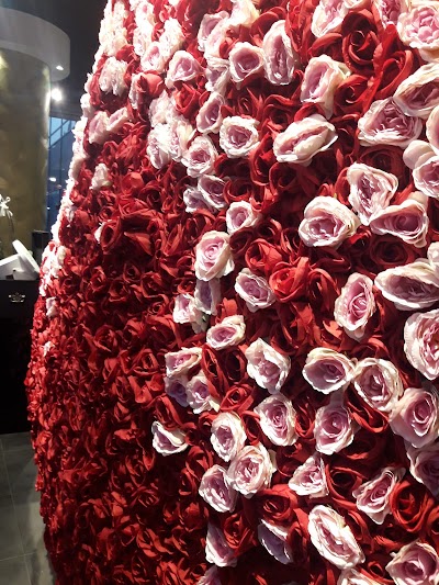 Photos of Maison des Fleurs