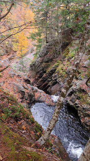 Jeffers Brook Falls Gallery - Canada
