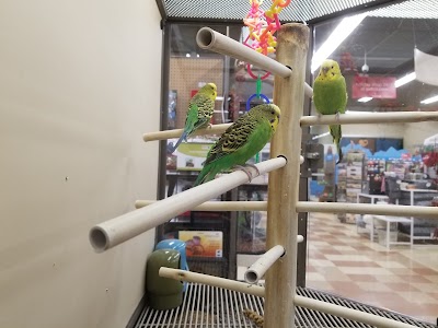 Petco