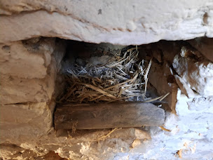 Photo n°34 de Ferme Caussenarde d'Autrefois (sur réservation en ligne l'hiver) à Hures-la-Parade (Musée)