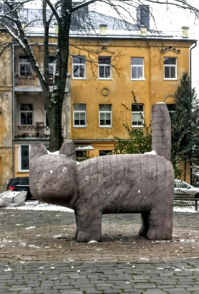 Photos of Jurga Ivanauskaite Square