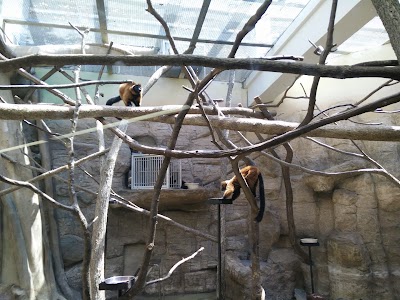 Small Mammal House