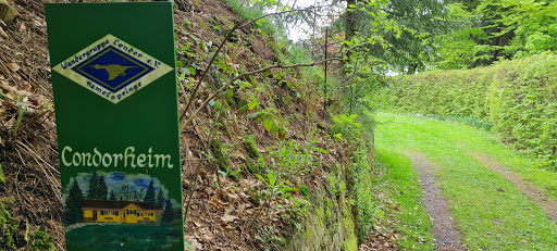 Eulenflucht - Thumbnail