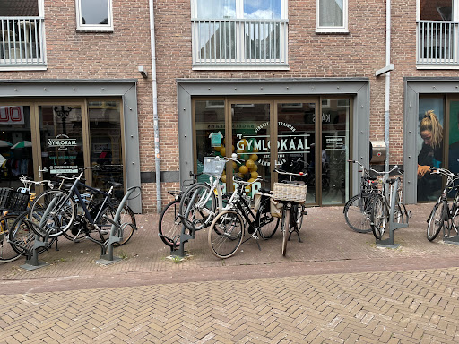 Reactivated Alkmaar - Thumbnail