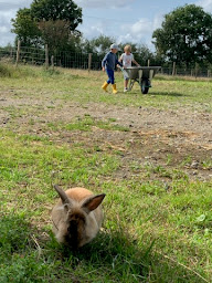 Photo n°20 de La Petite Ferme d'Heïdi à Saint-Père-en-Retz (Ferme pédagogique)