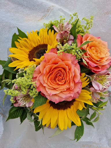 Blumen Robby - Visual