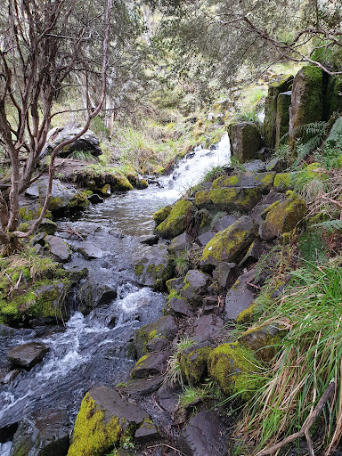 Carmichael Falls - Visual