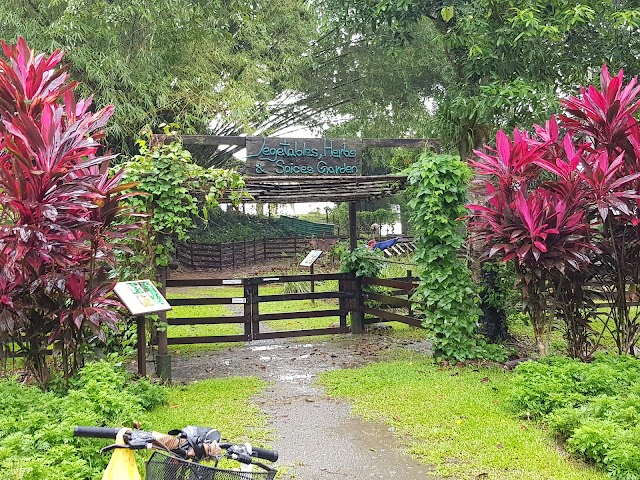 Pulau Ubin