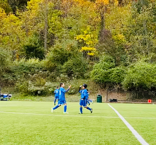 Glenside Field
