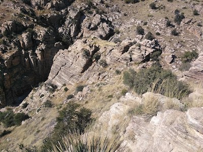 Coronado National Forest Supervisor