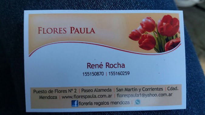 Flores Paula, Author: Rene Rocha