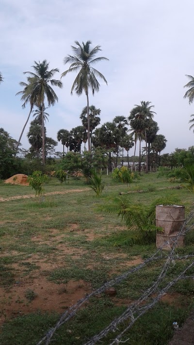 Photos of Rainbow Garden