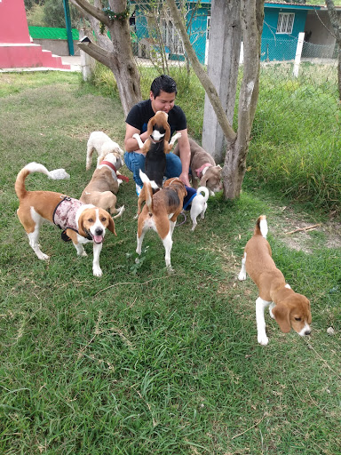 Vet Help Clínica Veterinaria, Peluquería y Tienda para Mascotas