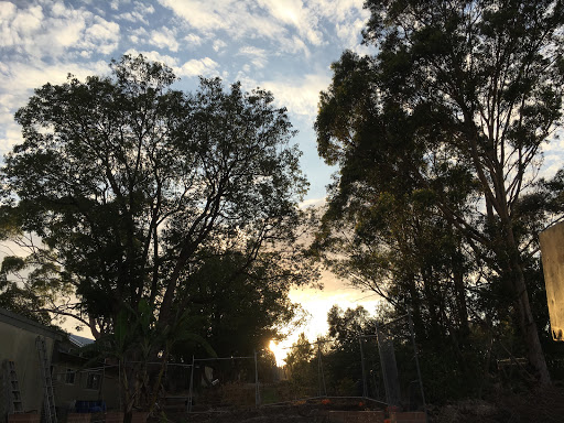 Oatley Public School Gallery - Australia