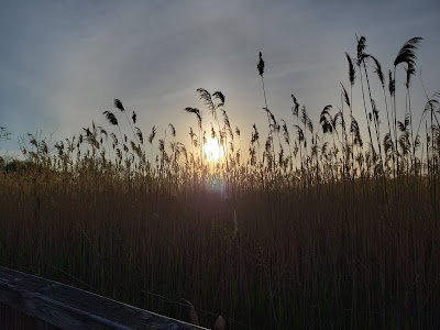 Claire D. McIntosh Wildlife Refuge