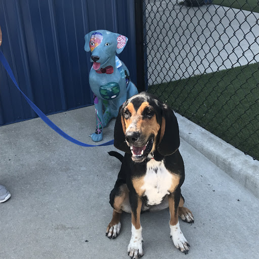 FastLane Pup Park Gallery - United States