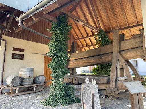 Weingut Dilger - Thumbnail