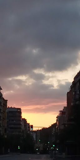 Servicio Público de Empleo Estatal Dirección Provincial de Alicante