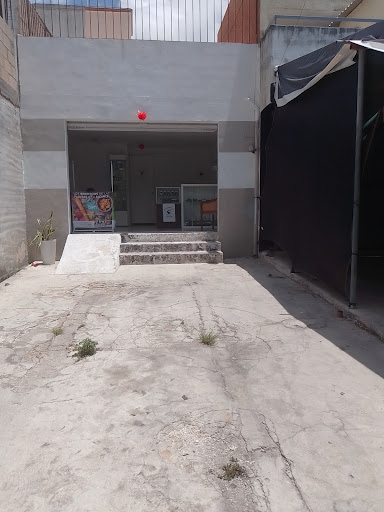 CASA XĪN (Acupuntura Jianshi)