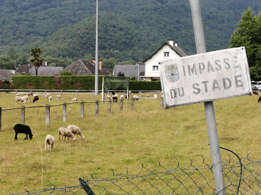 stade de rugby de saint pe de bigorre - Thumbnail