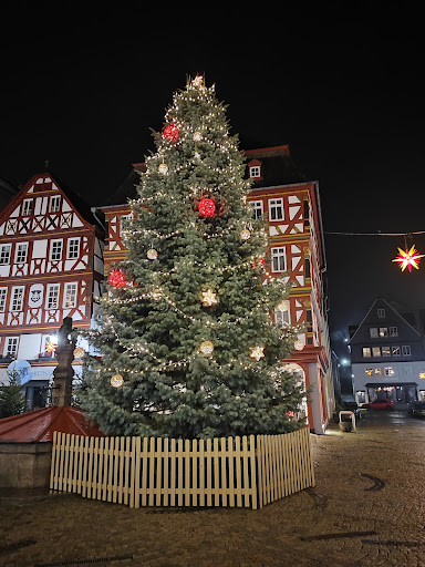 Stadtpark Herborn - Thumbnail