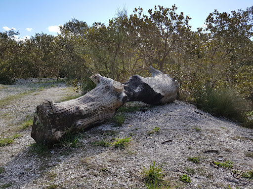 Tamariki Reserve - New Zealand
