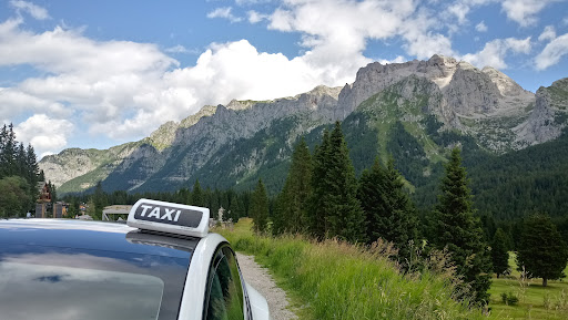 TAXIelettrico - Thumbnail