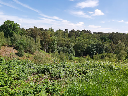 RSPB The Lodge - Thumbnail