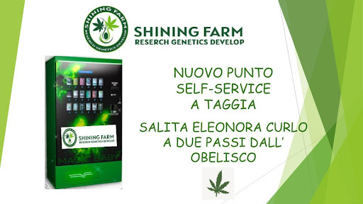 CBD SHOP-Shining Farm Az. Ag. - Thumbnail