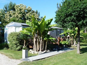 Photo n°5 de Domaine La Résinière Camping Hourtin à Hourtin (Terrain de camping)