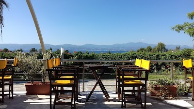 Photos of El Greco Eretria