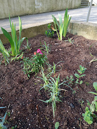 Photo n°15 de Les Belles Portes Label à Hérouville-Saint-Clair (Association culturelle)