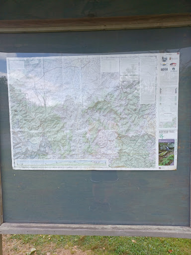 National Forest Observation Tower Trailhead parking - Thumbnail