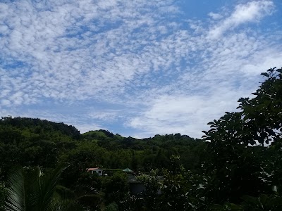 Photos of Finca Borinquen